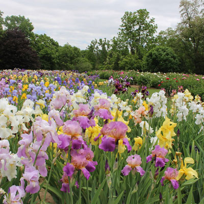 Royal Botanical Gardens